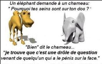 Une Blague