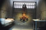 david belle